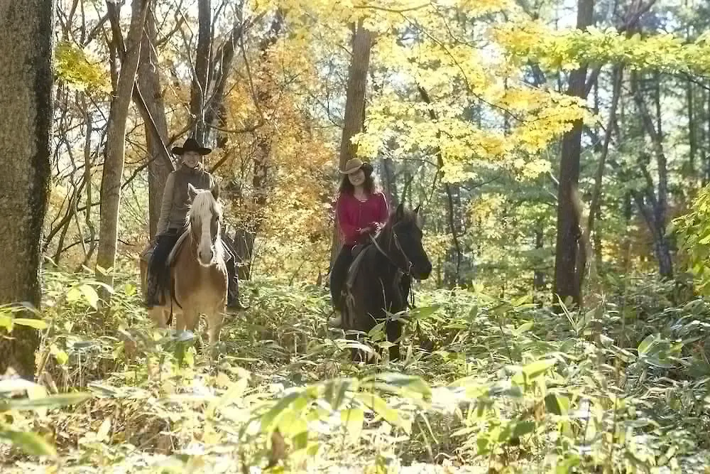Jyozankei Shikanoyu Sapporo 4*,